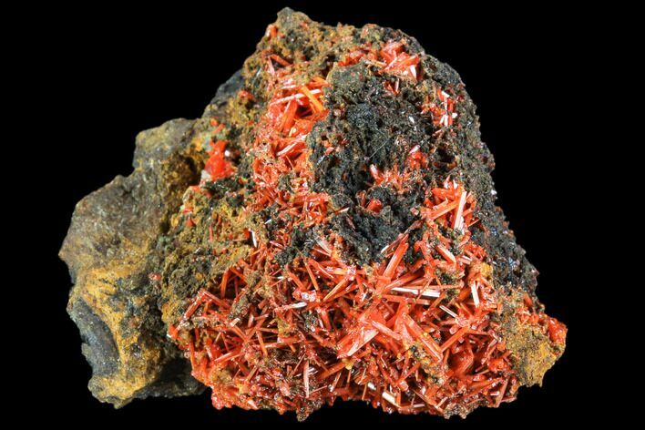 Bright Orange Crocoite Crystal Cluster - Tasmania #106801